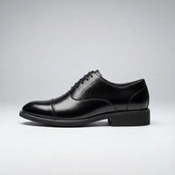 Löwe | Vergrößern Sie Ihre Körpergröße